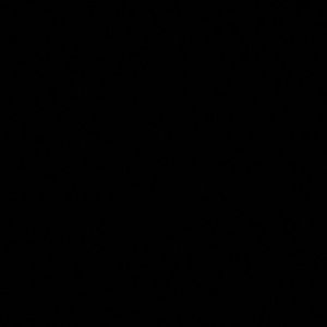 Meet your Posher, Diondre